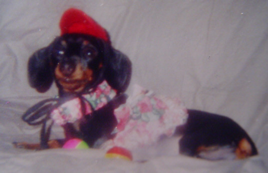 cuddles3.jpg
